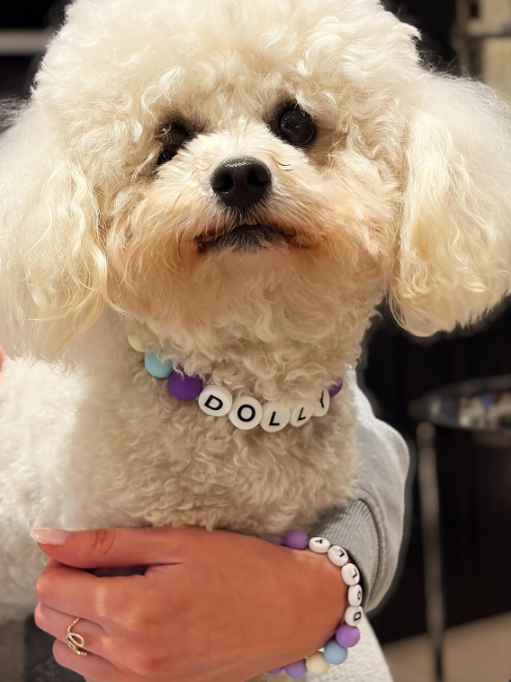 Personalised beaded waterproof dog collar & matching owner bracelet
